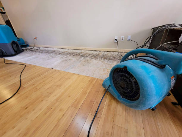 Professional Basement Flood Cleanup technician working in South Jamesport, NY